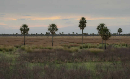 parque-nacional-chaco.jpg