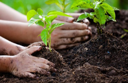 clima educacion-ambiental.jpg