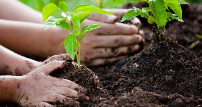 Educación ambiental para proteger los recursos naturales