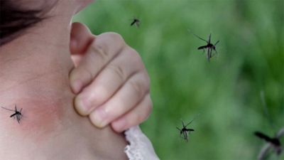 Dengue: Salud Pública dio a conocer el parte epidemiológico