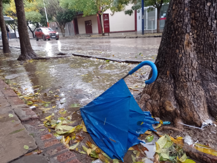 lluvia4.jpg