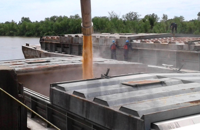 El maíz lideró las exportaciones chaqueñas en el primer trimestre del año