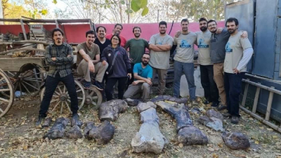 Hallaron restos de un dinosaurio herbívoro gigante en la Patagonia