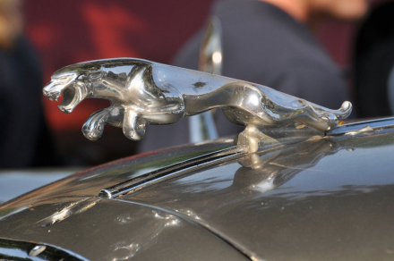 jaguar.jpg