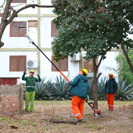 PODA BARRIO MALVINAS (1).jpg