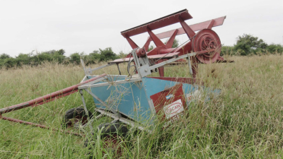 Una cosechadora de pasturas a la medida del productor chaqueño
