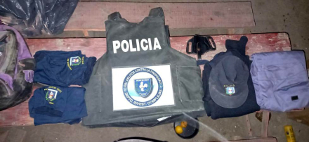 poli01.jpg