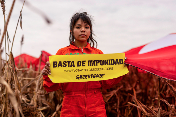 © Sebastian Pani / Greenpeace