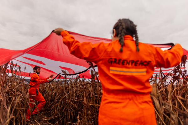 © Sebastian Pani / Greenpeace