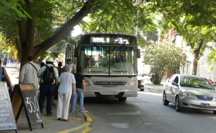 colectivo.jpg