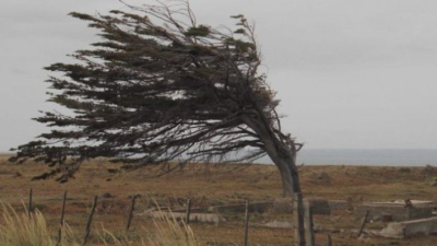 Resistencia y zonas aledañas, en alerta amarilla por fuertes vientos