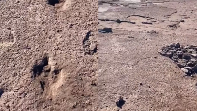 Un vecino de Cipolletti fue a pescar en El Chocón y encontró huellas de dinosaurio