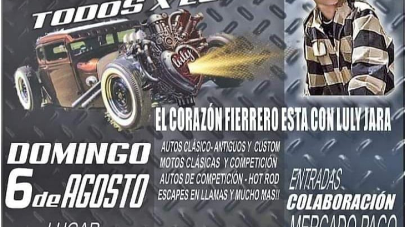 Campaña solidaria Todos por Luly