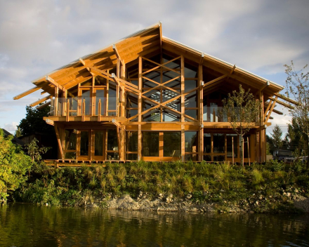 madera2.jpg