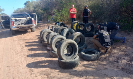 dete dos.jpg