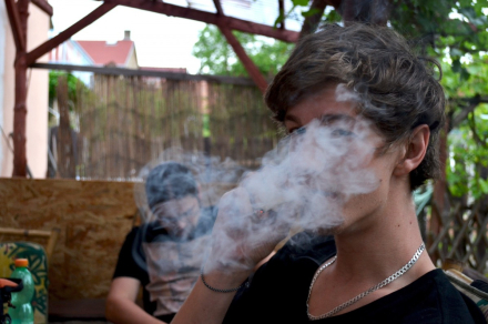 weed_smoke_drug_marijuana_joint_ganja_grass_marihuana-711329.jpg