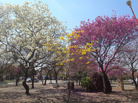 colores.jpg