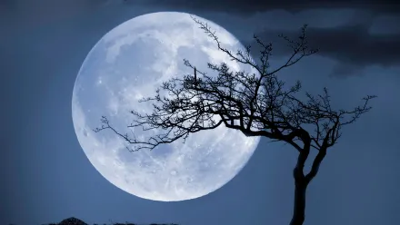 GettyImages-461493851-luna azul.webp