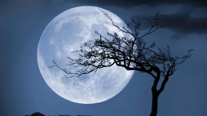 Superluna azul de agosto 2023: cuándo, dónde y cómo verla