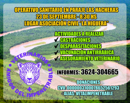 colaborar vetes.jfif
