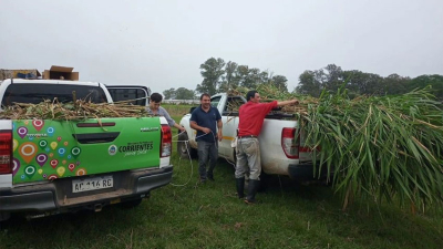 El plan pasturas sigue su camino