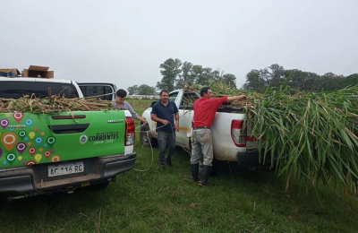 El plan pasturas sigue su camino