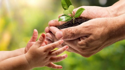 Una oportunidad para fomentar el uso adecuado de los recursos naturales