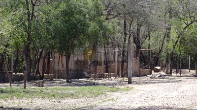 El campo del matrimonio piquetero fue cedido a Patricia Acuña y luce desmantelado