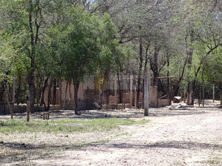 tres campo.JPG