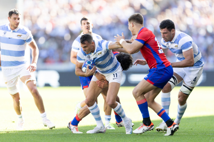 Los Pumas- Chile 1.jfif