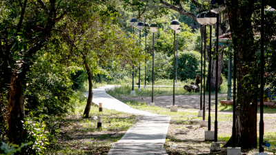 Circuitos turísticos, la gran perla natural del Chaco
