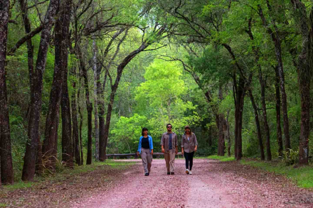 parque nacional3.jpg