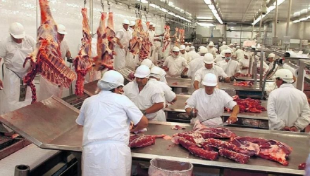 carne.jpg