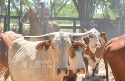 Por el desarrollo en pequeña escala productiva