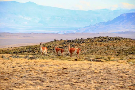 trekking patagonia.jpg