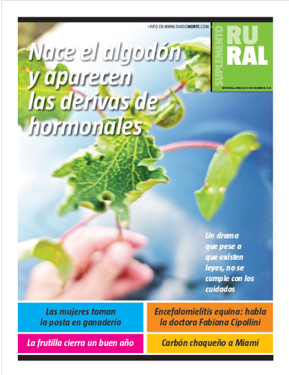 Nace el algodón y aparecen las derivas de hormonales