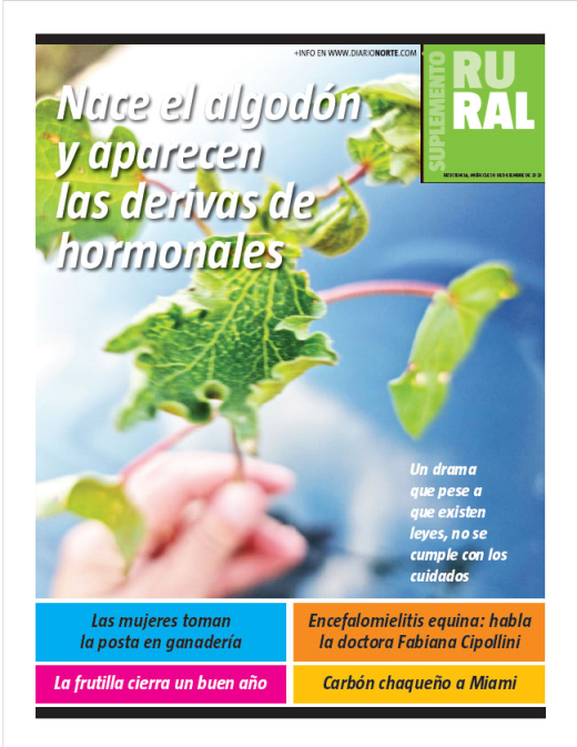 Nace el algodón y aparecen las derivas de hormonales