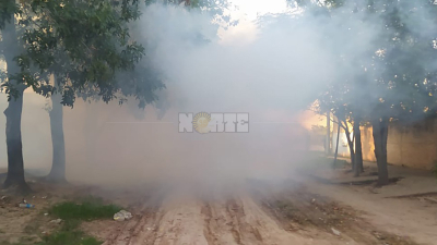 Confirman la muerte de una mujer por dengue hemorrágico en Sáenz Peña