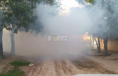 Confirman la muerte de una mujer por dengue hemorrágico en Sáenz Peña