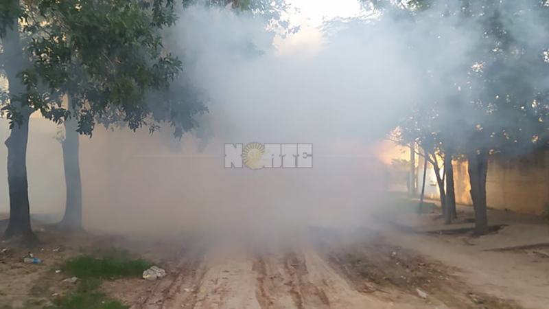 Confirman la muerte de una mujer por dengue hemorrágico en Sáenz Peña