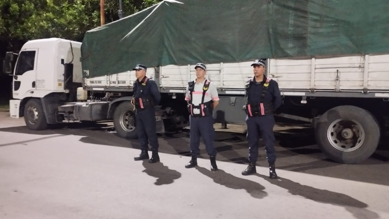 Intervinieron carga forestal irregular en Makallé