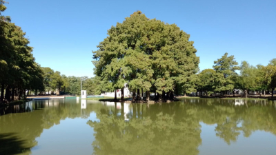 Domingo a pleno sol, pero mañana podría volver la lluvia