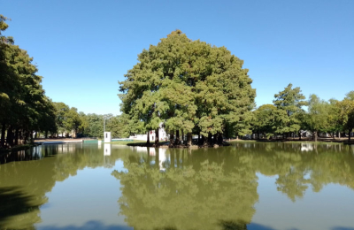 Domingo a pleno sol, pero mañana podría volver la lluvia