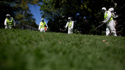 Aumentaron un 60,5% los casos de dengue en el país y hay alerta en varias provincias
