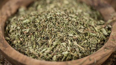 yerba.jpg