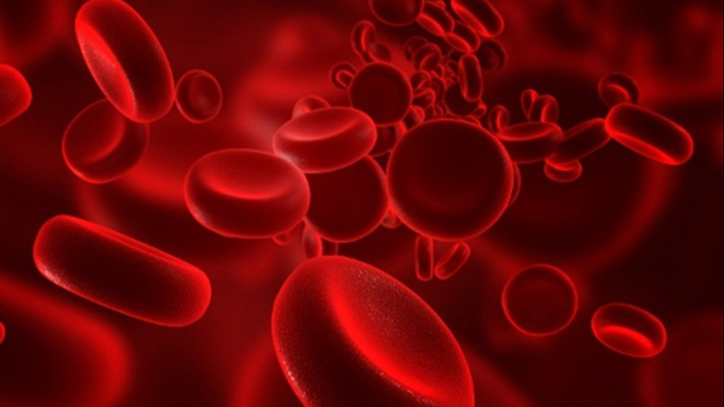 Europa dio luz verde al primer medicamento que utiliza edición genética