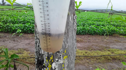 Linda-lluvia-en-la-soja.jpg