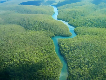 Amazonas.jpeg