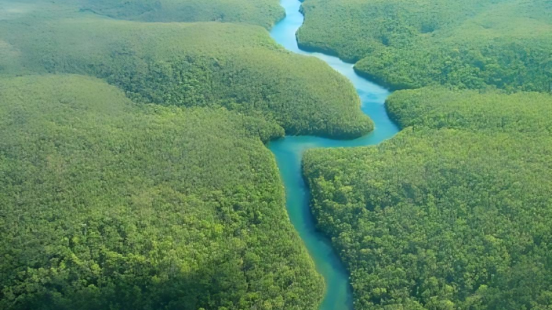 Calentamiento global, deforestación e incendios