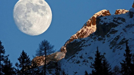 luna2.jpg